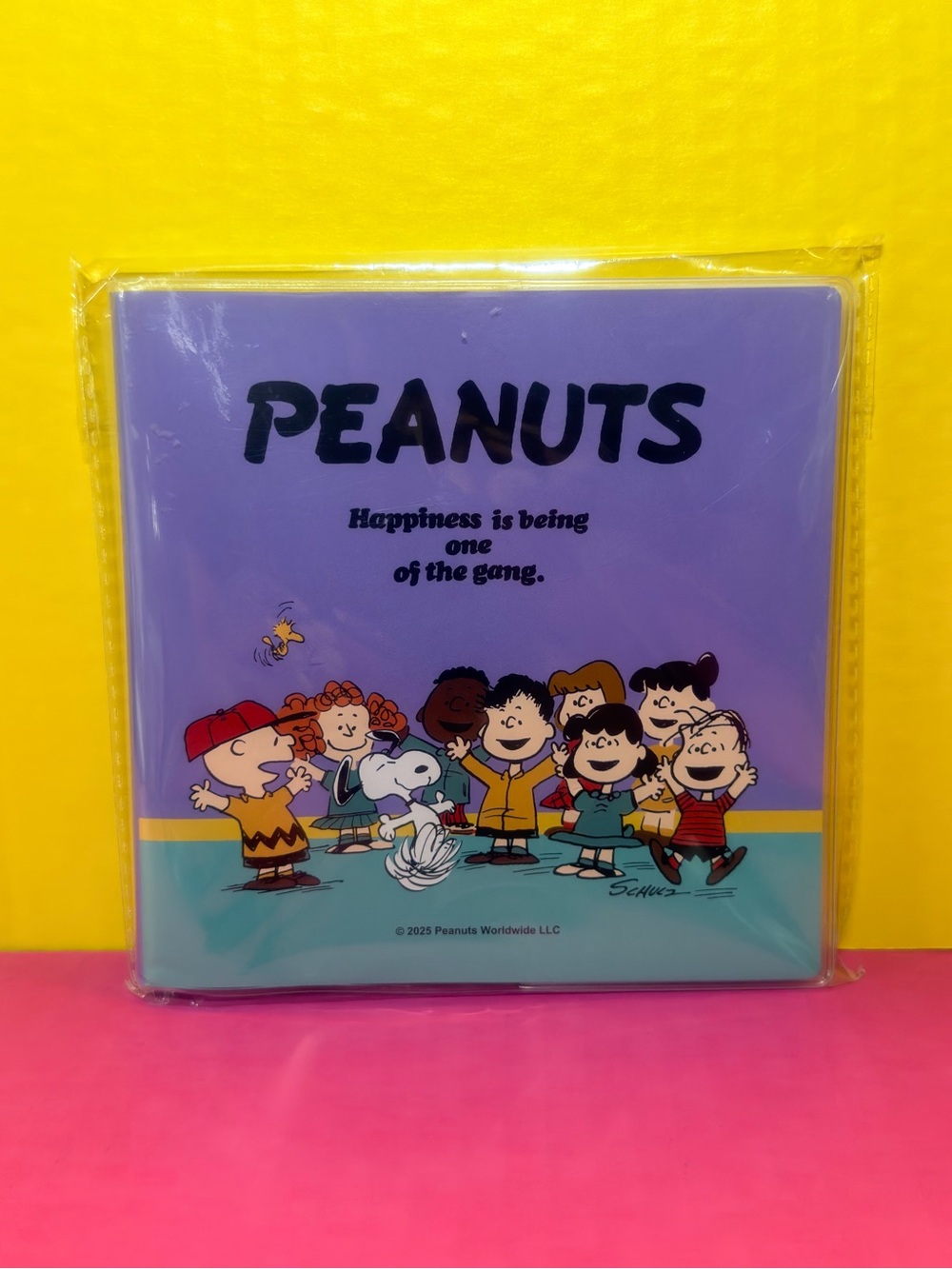 Peanuts Binder — Purple & Teal Group Cover